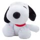 Charlie Brown Snoopie

