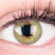 Das Produktfoto zeigt unsere Farbige Gruene Kontaktlinse Rose Green in einem echten Auge