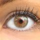 Brown Leon Hazel - Glamlens  Natürlich Aussehende Dezente Farbige Kontaktlinsen ohne Stärke - 3 Monate Farbig