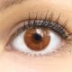 Farbige Braune Premium Kontaktlinsen Venedig Brown von GLAMLENS