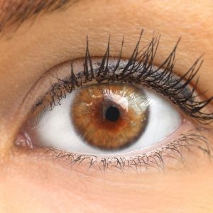 Avila Hazel - Glamlens  Natürlich Aussehende Dezente Farbige Kontaktlinsen ohne Stärke - 3 Monate Farbig