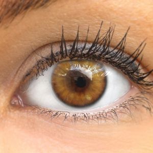 Bardolino Brown Kontaktlinsen in intensivem Hazelbraun – Nahaufnahme des Designs