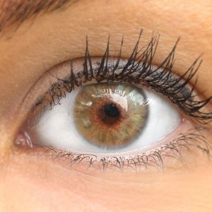 Brown Leon Hazel - Glamlens  Natürlich Aussehende Dezente Farbige Kontaktlinsen ohne Stärke - 3 Monate Farbig