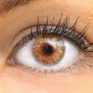 Merida Brown - Glamlens  Natürlich Aussehende Dezente Farbige Kontaktlinsen ohne Stärke - 3 Monate Farbig