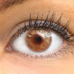 Merida Hazel - Glamlens  Natürlich Aussehende Dezente Farbige Kontaktlinsen ohne Stärke - 3 Monate Farbig