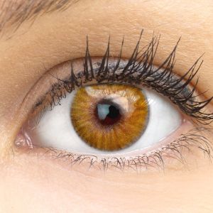 Verona Hazel Braun - braune Kontakltinsen ohne Stärke