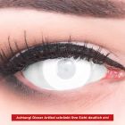 Das Produktfoto zeigt unsere Crazy weisse Farbige Kontaktlinse Blind Mentalist in einem echten Auge