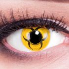 Das Produktfoto zeigt unsere Crazy gelbe Farbige Kontaktlinse Biohazard in einem echten Auge