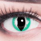 Das Produktfoto zeigt unsere Green Lizard green Farbige Kontaktlinse in einem echten Auge