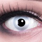 Das Produktfoto zeigt unsere Crazy graue Farbige Kontaktlinse Mirror in einem echten Auge