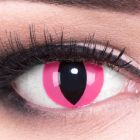 Das Produktfoto zeigt unsere Crazy pinke Farbige Kontaktlinse Pink Cat in einem echten Auge