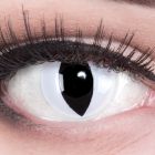 Das Produktfoto zeigt unsere Crazy weisse Farbige Kontaktlinse Viper in einem echten Auge