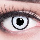 Das Produktfoto zeigt unsere Crazy weisse Farbige Kontaktlinse White Zombie in einem echten Auge
