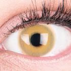Das Produktfoto zeigt unsere Farbige Braune Kontaktlinse Alice Brown in einem echten Auge