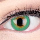 Das Produktfoto zeigt unsere Farbige Graue Kontaktlinse Daisy Green in einem echten Auge