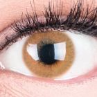 Das Produktfoto zeigt unsere Farbige Braune Kontaktlinse Grace Brown in einem echten Auge