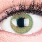 Das Produktfoto zeigt unsere Farbige Gruene Kontaktlinse Grace Green in einem echten Auge