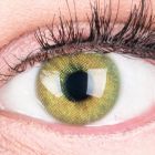 Das Produktfoto zeigt unsere Farbige Gruene Kontaktlinse Jasmin Green in einem echten Auge