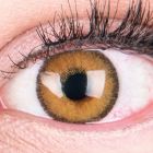 Das Produktfoto zeigt unsere Farbige Braune Kontaktlinse Mirel Brown in einem echten Auge