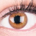 Das Produktfoto zeigt unsere Farbige Braune Kontaktlinse Rose Brown in einem echten Auge