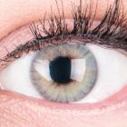 Das Produktfoto zeigt unsere Farbige Graue Kontaktlinse Rose Grey in einem echten Auge