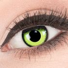 Das Produktfoto zeigt unsere Crazy gruen Farbige Kontaktlinse Green Lunatic in einem echten Auge
