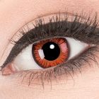 Das Produktfoto zeigt unsere Crazy rote Farbige Kontaktlinse Vampire in einem echten Auge