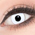 Das Produktfoto zeigt unsere Crazy weisse Farbige Kontaktlinse White Out in einem echten Auge