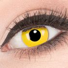 Das Produktfoto zeigt unsere Crazy gelbe Farbige Kontaktlinse Yellow in einem echten Auge