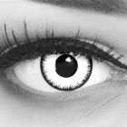 Das Produktfoto zeigt unsere Crazy weisse Farbige Kontaktlinse Lunatic in einem echten Auge