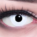 Das Produktfoto zeigt unsere Crazy weisse Farbige Kontaktlinse White Out in einem echten Auge