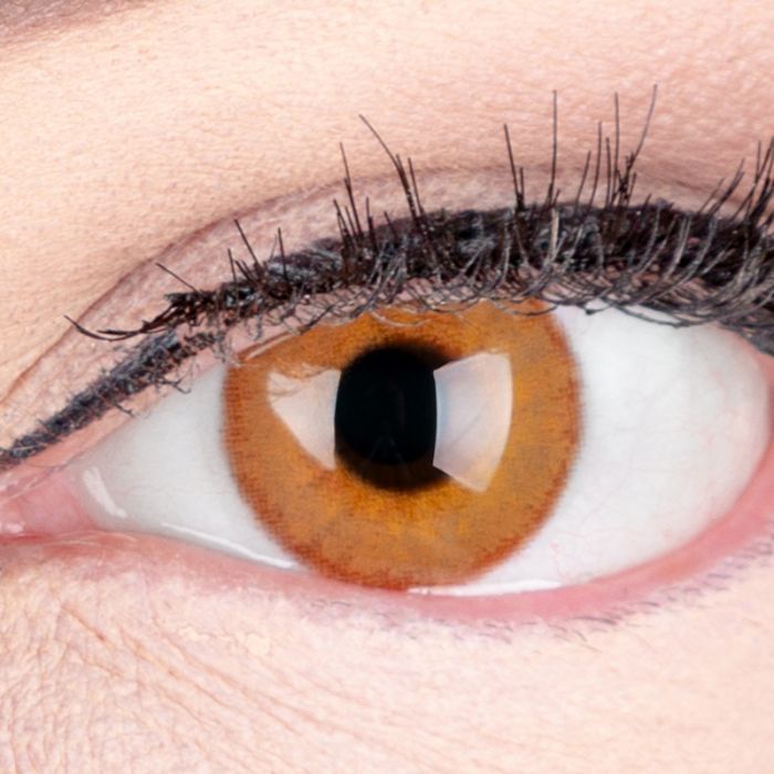 Braune Farbige Kontaktlinse Ohne Starke Daisy Brown Ohne Sehstarke Dioptrien Von Glamlens By Meralens