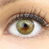 Bozen Green Grün - grüne farbige Kontaktlinsen ohne Stärke