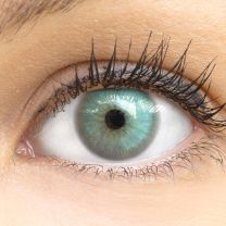 Capri Gray - Graue farbige Kontaktlinsen ohne Stärke