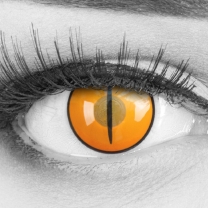 Demon Nezuko Cat Eye Orange