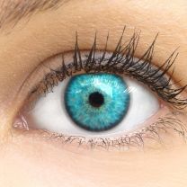 Ibiza Blue - braune farbige Kontaktlinsen ohne Stärke