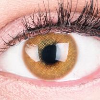 Jasmine Brown Braun - braune farbige Kontaktlinsen ohne Stärke