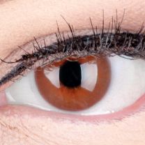 Jasmine Choco Dunkelbraun - dunkelbraune farbige Kontaktlinsen ohne Stärke