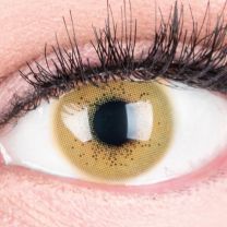 Lacey Brown Braun - braune farbige Kontaktlinsen ohne Stärke