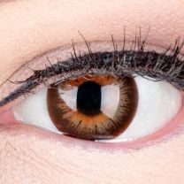 Mila Brown Braun - braune farbige Kontaktlinsen ohne Stärke