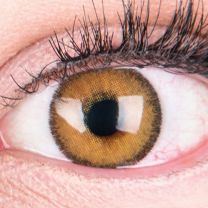 Mirel Brown Braun - braune farbige Kontaktlinsen ohne Stärke