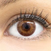 Flora Brown Braun - braune farbige Kontaktlinsen ohne Stärke