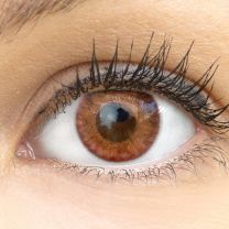 Flora Pure Hazel Braun - braune farbige Kontaktlinsen ohne Stärke