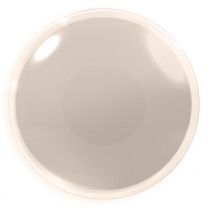 Farbige beige creme Kontaktlinsen für Cosplay und Halloween - Grauer Star 2 Blind von MeralenS