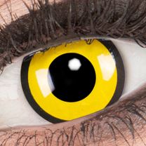 Farbige gelbe Kontaktlinsen für Cosplay und Halloween - Black Yellow von MeralenS