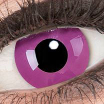 Farbige lila Kontaktlinsen für Cosplay und Halloween - Purple von MeralenS