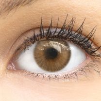 Limone Brown Braun - braune farbige Kontaktlinsen ohne Stärke
