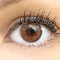Marsala Brown Braun - braune farbige Kontaktlinsen ohne Stärke