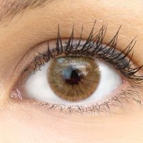 Monza Brown Braun - braune farbige Kontaktlinsen ohne Stärke