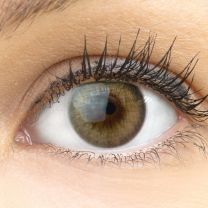 Padua Beige Braun - braune farbige Kontaktlinsen ohne Stärke